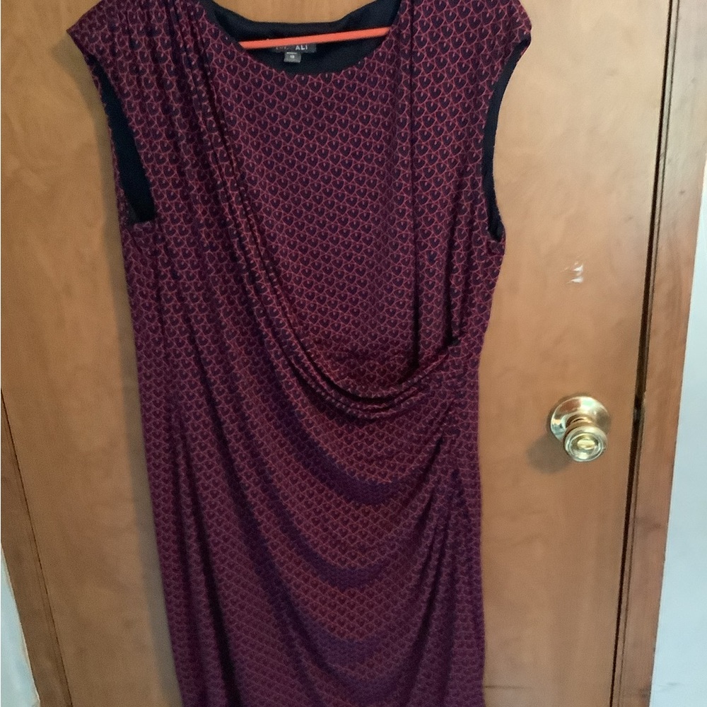 Roz Ali dress